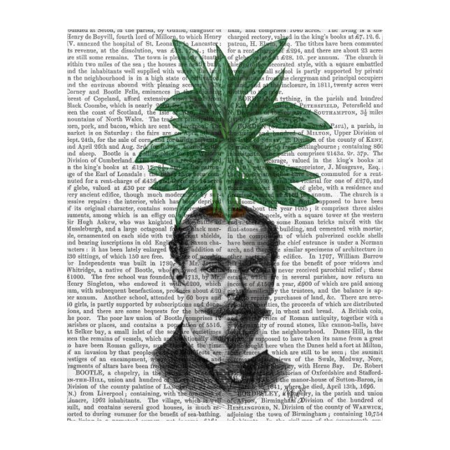 Chinese Evergreen Head Plant Head Acrylic Print (Front)