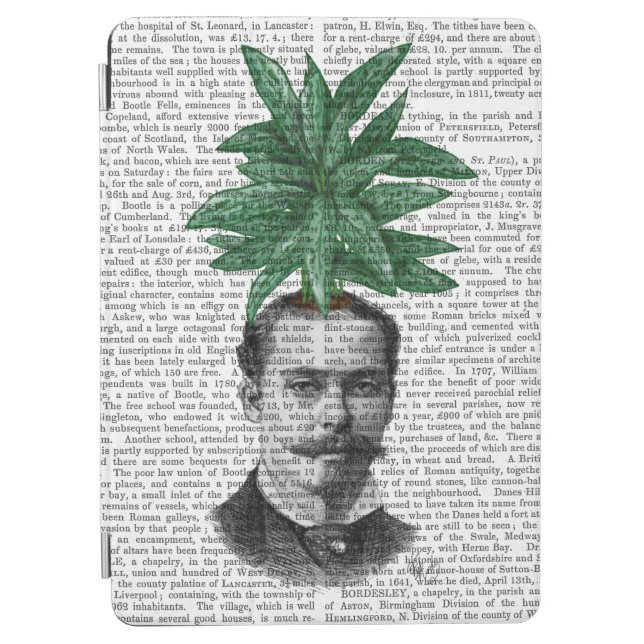 Chinese Evergreen Head Plant Head iPad Air Cover (Front)