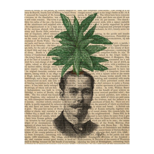 Chinese Evergreen Head Plant Head Wood Wall Art (Front)