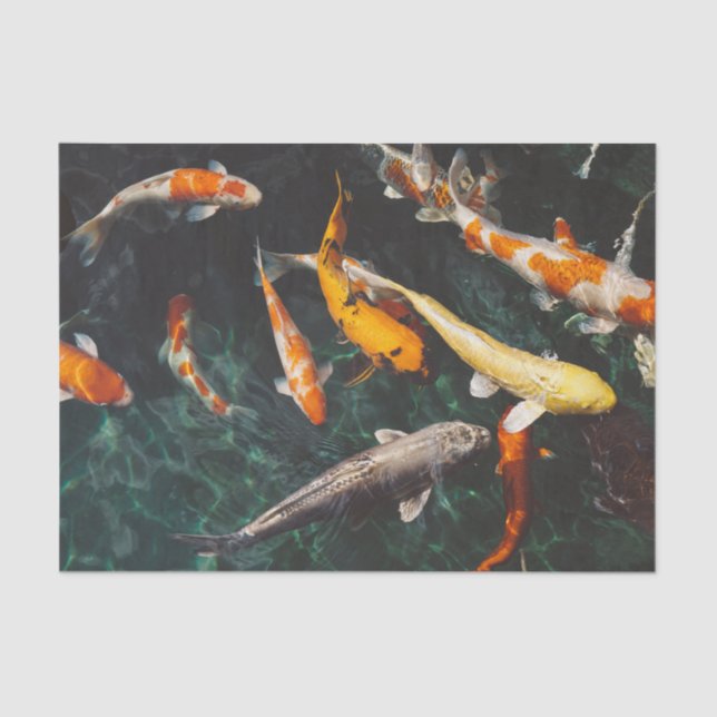 Chinese fish swim in the water tissue paper (Front)