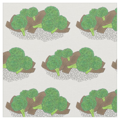 Chinese Food Beef and Broccoli Takeout Dish Foodie Fabric