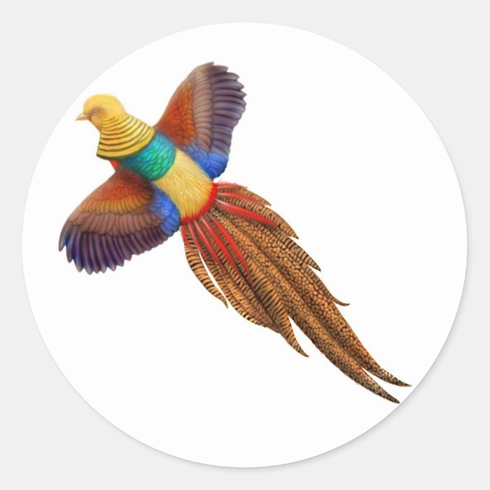 Chinese Golden Pheasant Sticker