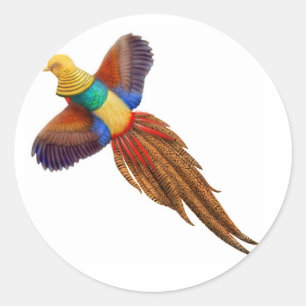 Chinese Golden Pheasant Sticker