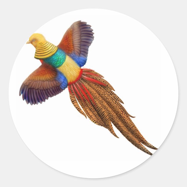 Chinese Golden Pheasant Sticker (Front)