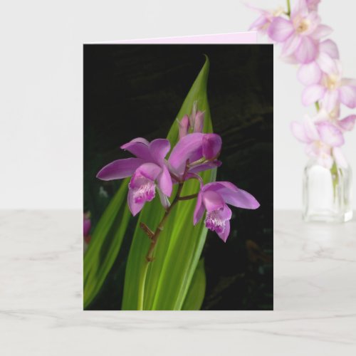 Chinese Ground Orchids Card