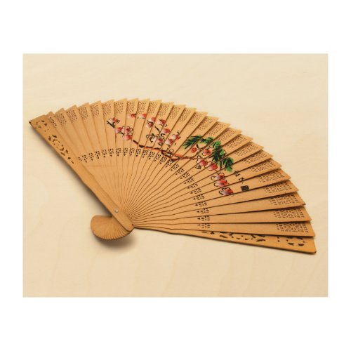 Chinese hand_held fan  wood wall art