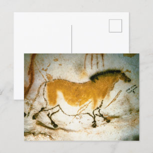 Chinese Horse,Lascaux Prehistoric Cave Paintings Postcard