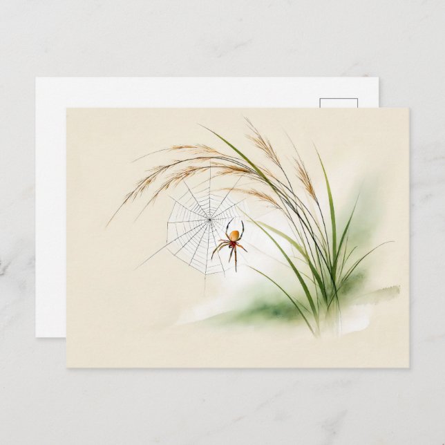 Chinese Ink Spider on Rice Postcard (Front/Back)