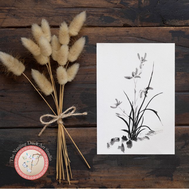 Chinese Iris - bw Photo Postcard (Creator Uploaded)