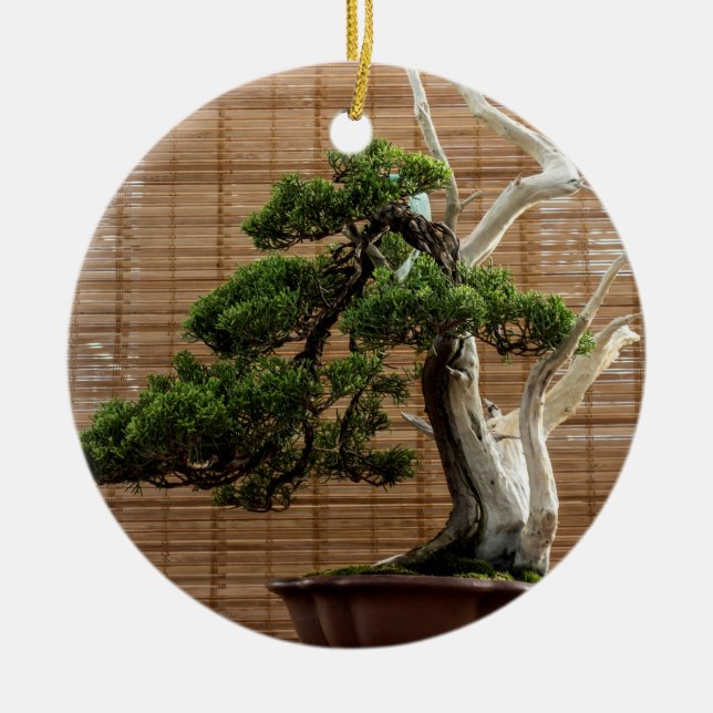 Chinese Juniper Bonsai Tree Photo Ceramic Ornament (Front)