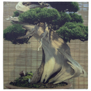 Chinese Juniper Bonsai Tree Photo Cloth Napkin