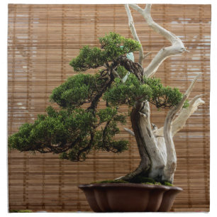 Chinese Juniper Bonsai Tree Photo Cloth Napkin