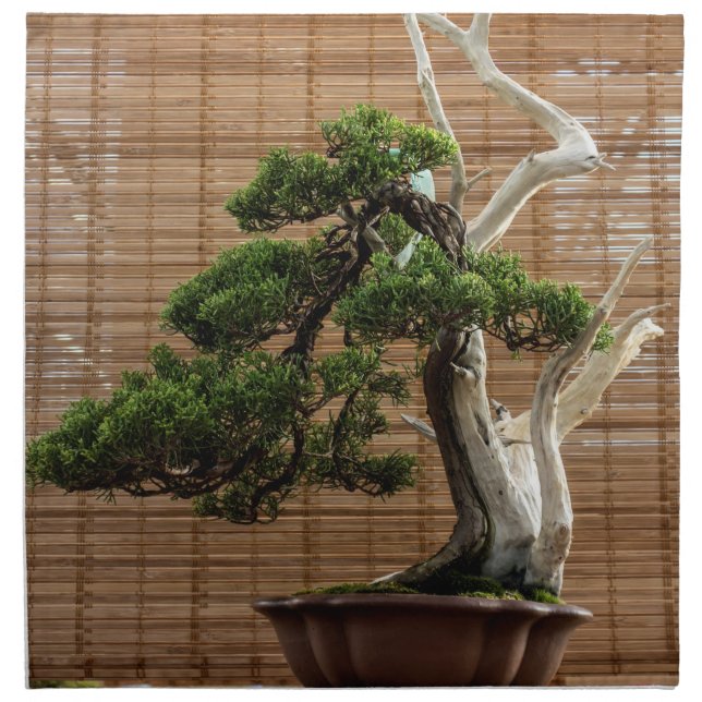 Chinese Juniper Bonsai Tree Photo Cloth Napkin (Front)