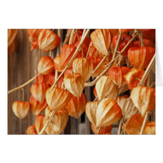 Chinese Lanterns Cards