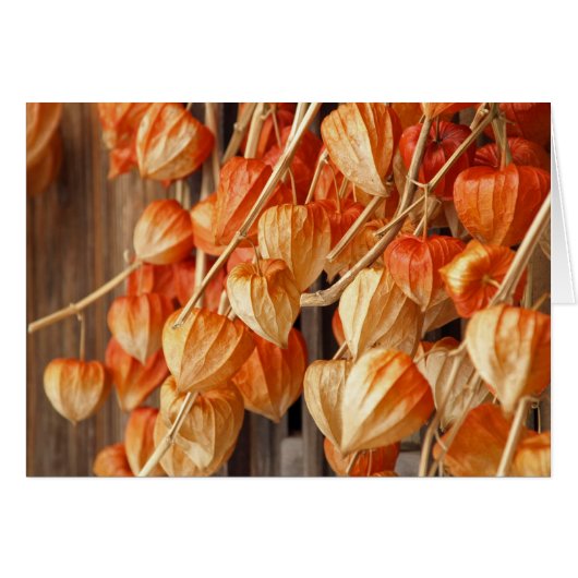 Chinese Lanterns Cards (Front Horizontal)