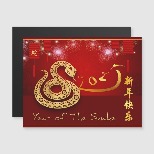 Chinese Lanterns Fireworks Snake Year 2025 MC (Front/Back)