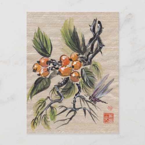 Chinese Loquat Fruit Postcard