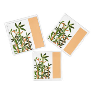Chinese Lucky Bamboo Plants. Modern art Acrylic Tray