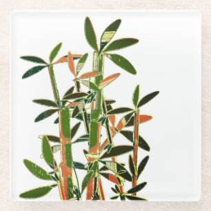 Chinese Lucky Bamboo Plants. Modern art Glass Coaster