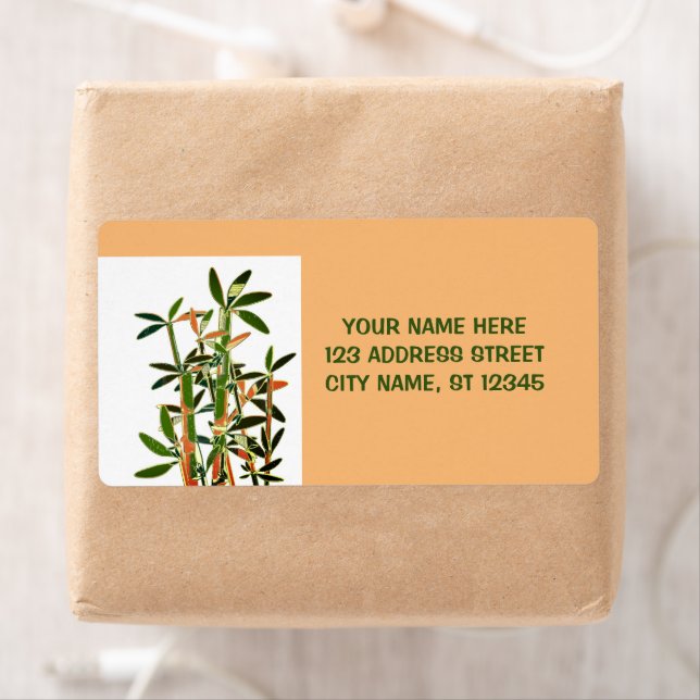Chinese Lucky Bamboo Plants. personalized Label (Insitu)