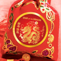 Chinese Lunar New Year 2024 Dragon Gold Foil Red