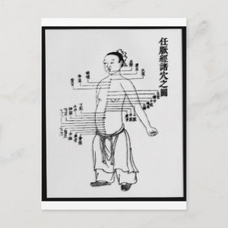 Chinese Medicine chart Postcard