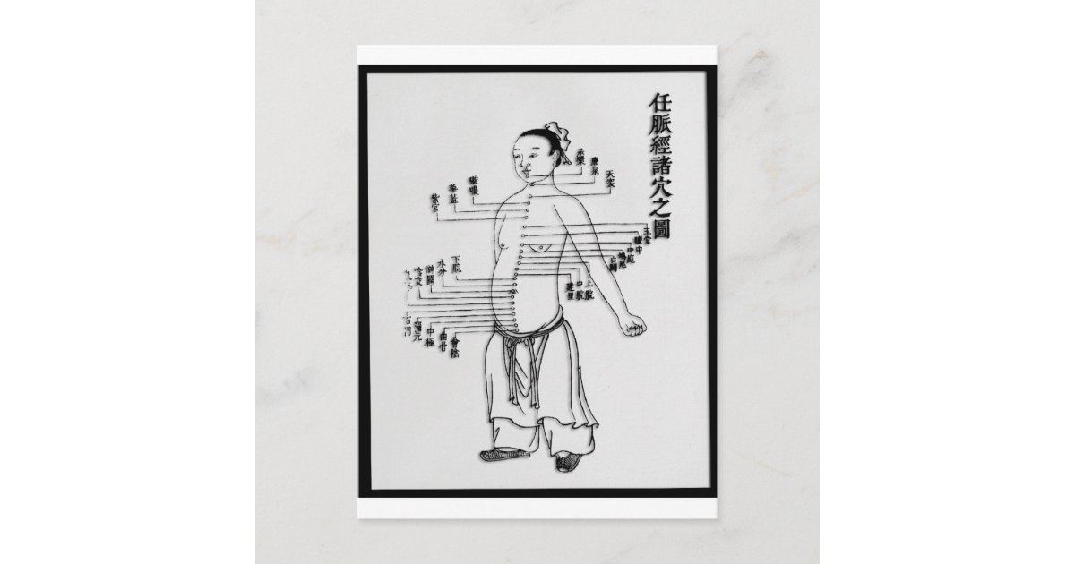 Chinese Medicine chart Postcard Zazzle