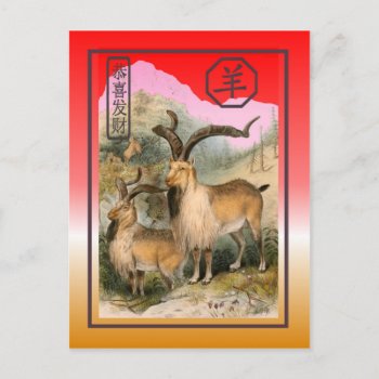 Chinese New Year-2015-year Of The Sheep/goat Holiday Postcard by peaklander at Zazzle