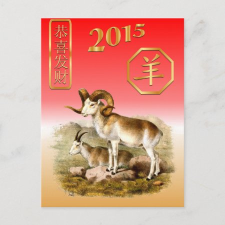 Chinese New Year-2015-year Of The Ssheep/goat Holiday Postcard