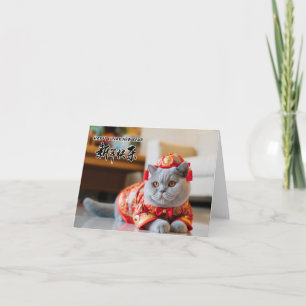 Chinese New Year British Shorthair Card