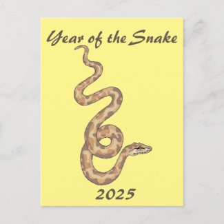 Chinese New Year of the Snake 2025 Postcard