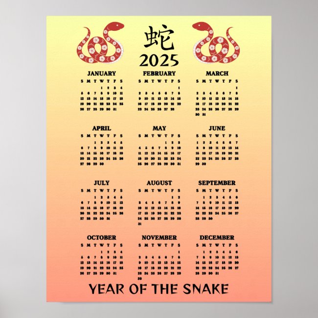 Chinese New Year of the Snake Ombre 2025 Calendar