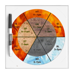 chinese organ clock meridians acupuncture elements dry erase board