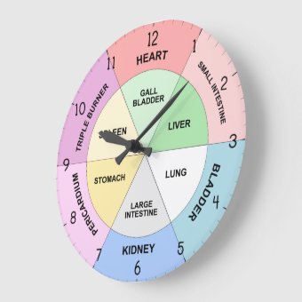 Chinese Organ Clock - TCM Body Clock | Zazzle