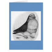 Chinese Owl Pigeon Ink Drawing (Front)