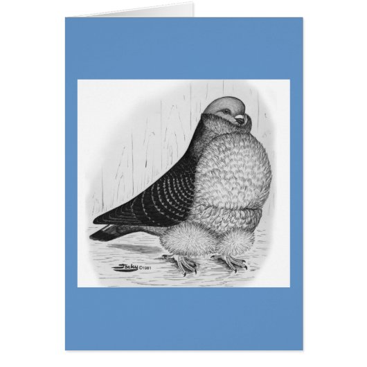 Chinese Owl Pigeon Ink Drawing (Front)