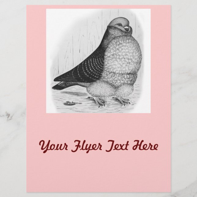 Chinese Owl Pigeon Ink Drawing Flyer (Front)