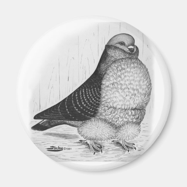 Chinese Owl Pigeon Ink Drawing Magnet (Front)