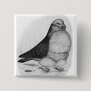 Chinese Owl Pigeon Ink Drawing Pinback Button