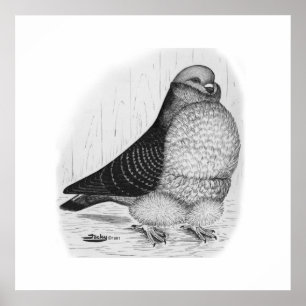 Chinese Owl Pigeon Ink Drawing Poster