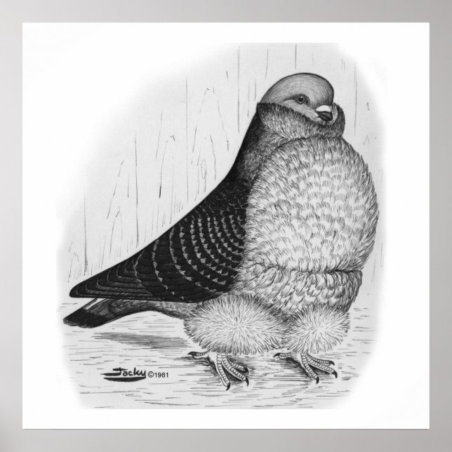 Chinese Owl Pigeon Ink Drawing Poster (Front)