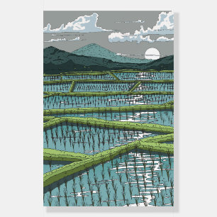 Chinese Paddy Field Foam Board