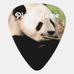 Chinese Panda Guitar Pick