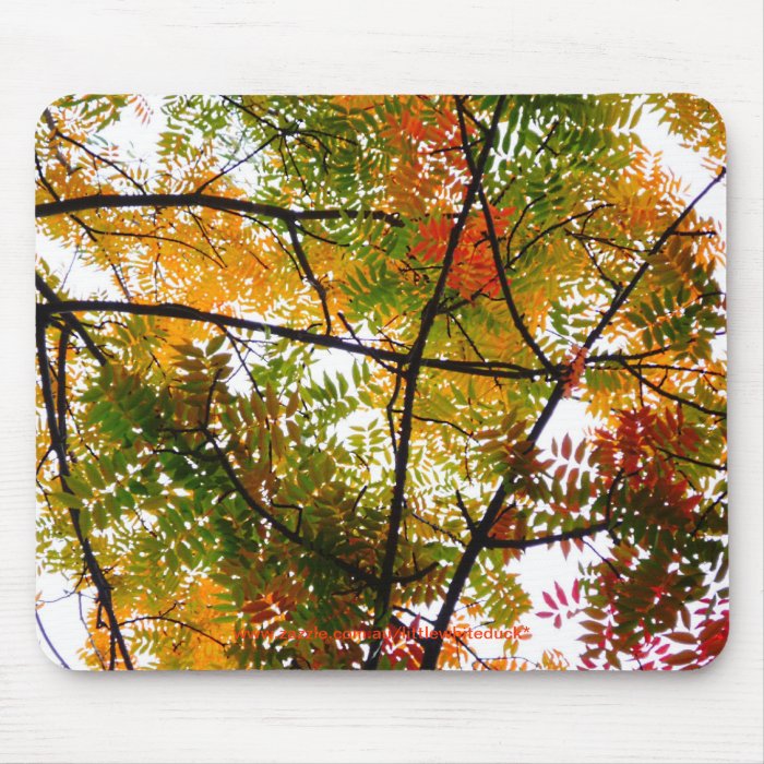 Chinese Pistache Tree   Mouse Pad