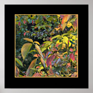 Chinese Pistachio in Fall Poster