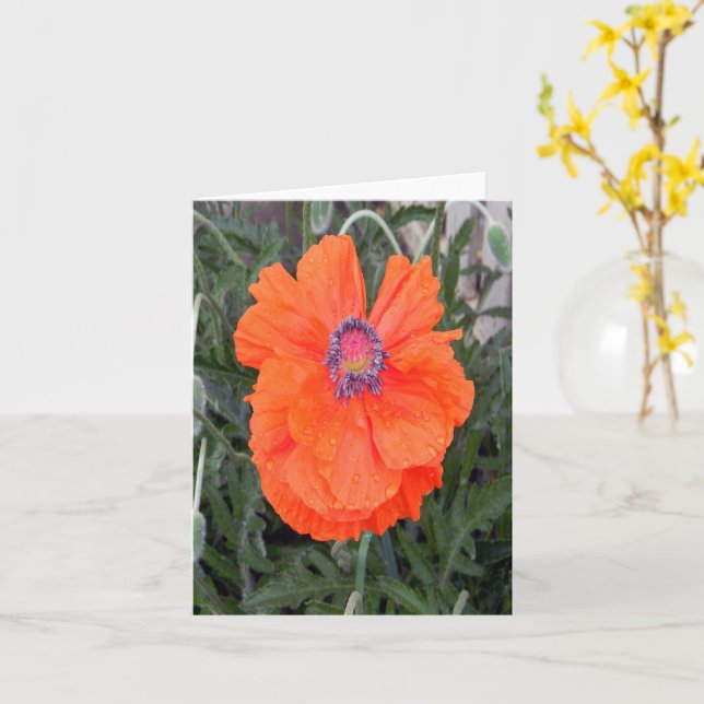 Chinese Poppy... Card (Yellow Flower)