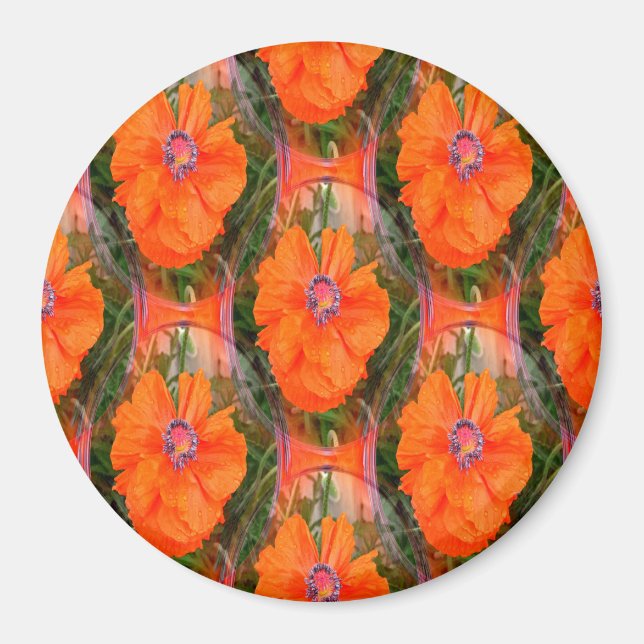 Chinese poppy field... magnet (Front)