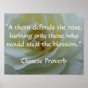 Chinese Proverb Rose Poster