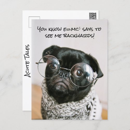 Chinese Pug Puppy Dog Theory Acute Tales From The Postcard