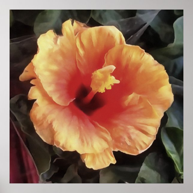 Chinese Rose Flower Artistic Floral Bloom Poster (Front)